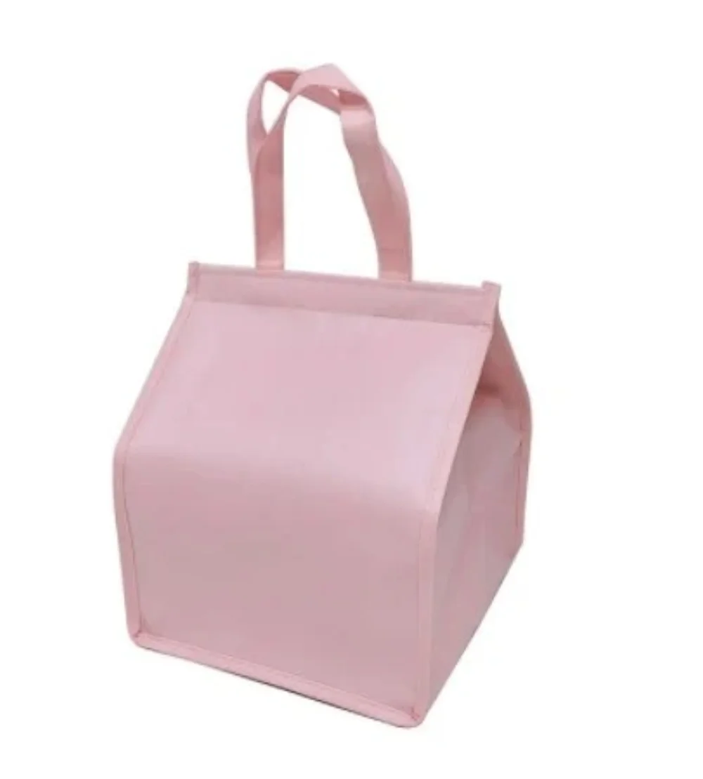 Laminated pp Fashion Blue Non Woven Big Laminated Lunch Cooler Bag with MAGIC TAPE closure - ICEK-1601 - ICEK-2101 - Detail