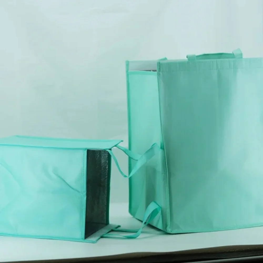 Wholesale Fashionable Durable Pouch Tote Promotional Cake Food Insulated Pp Non Woven Cooler Bag - ICER-2001 - Detail