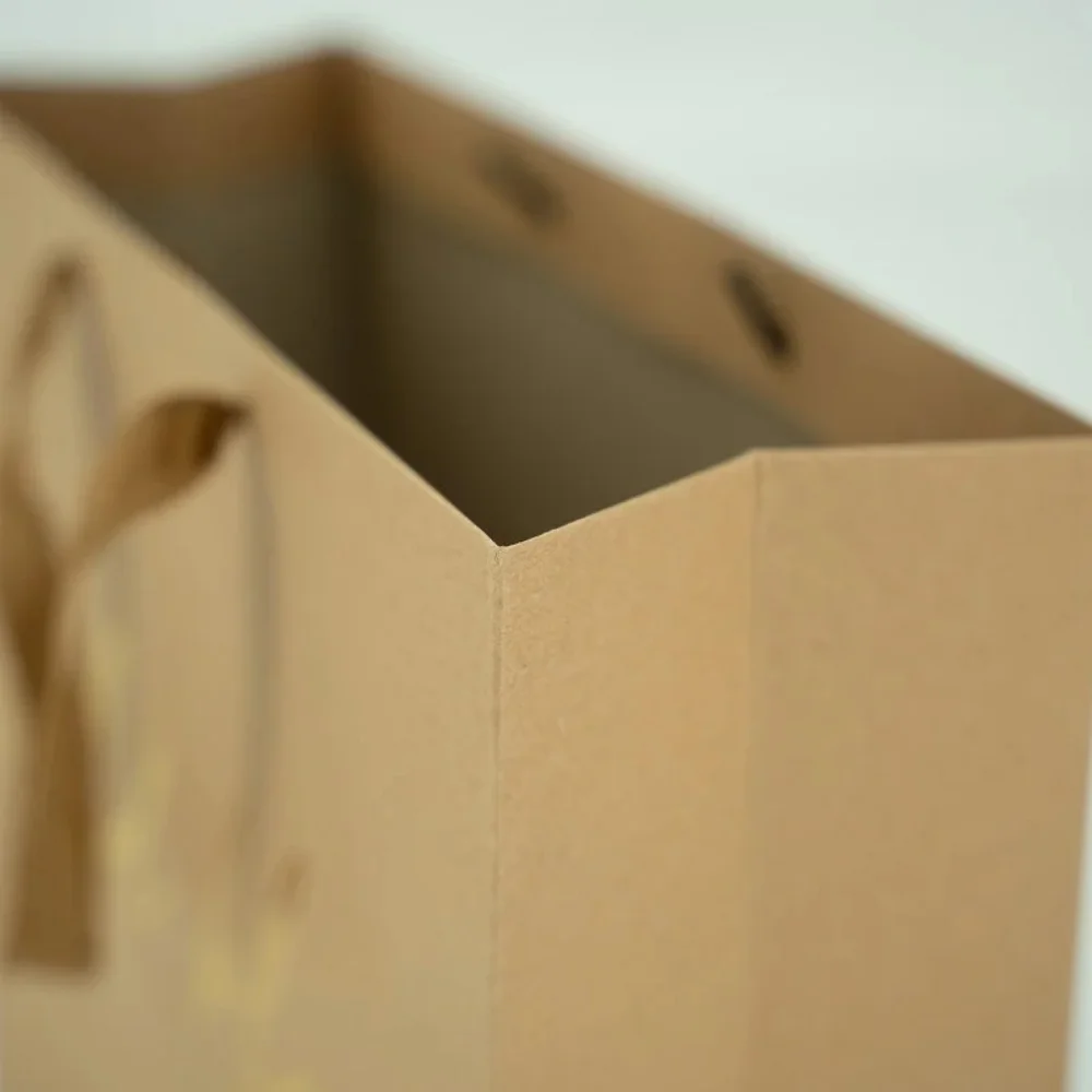 Sophisticated Elegant Paper Bags; Green Packaging Choices - PA23R001 - Detail