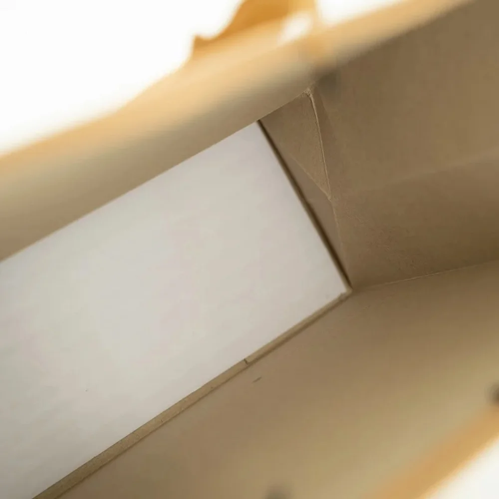 Sophisticated Elegant Paper Bags; Green Packaging Choices - PA23R001 - Detail