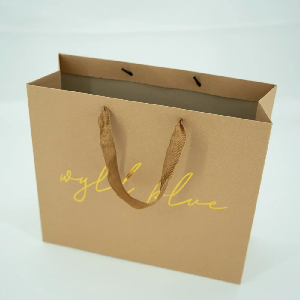 Sophisticated Elegant Paper Bags; Green Packaging Choices - PA23R001