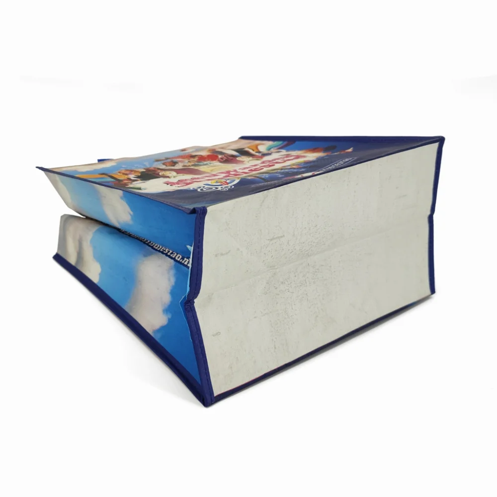 Custom printed polypropylene popular standard eco custom PP woven bag with zipper - PW23R007 - Detail
