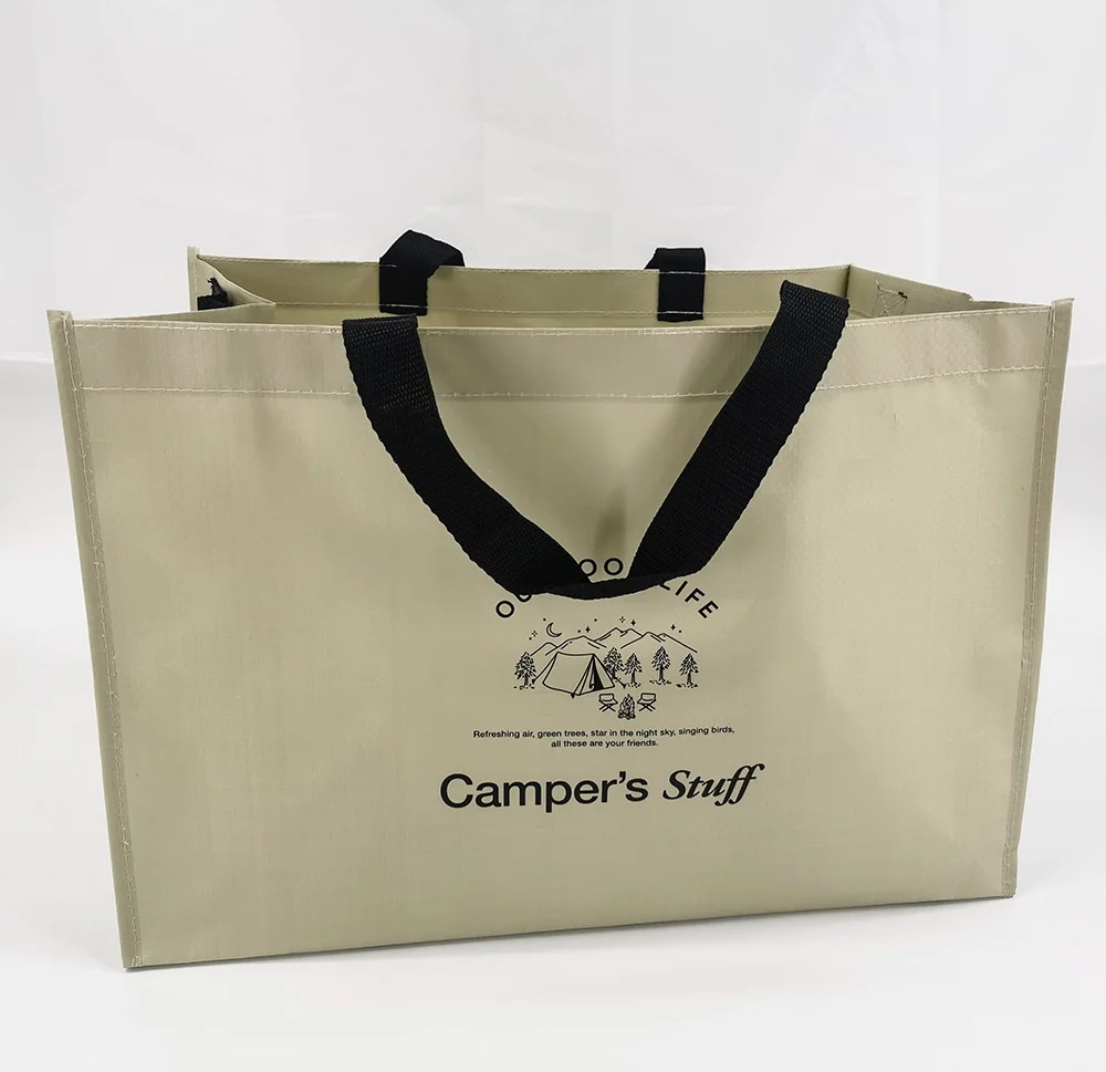 Hot Sell Waterproof Customized Printing Outdoor Foldable pp woven Picnic Bag for Camping - ST23A008 - Detail