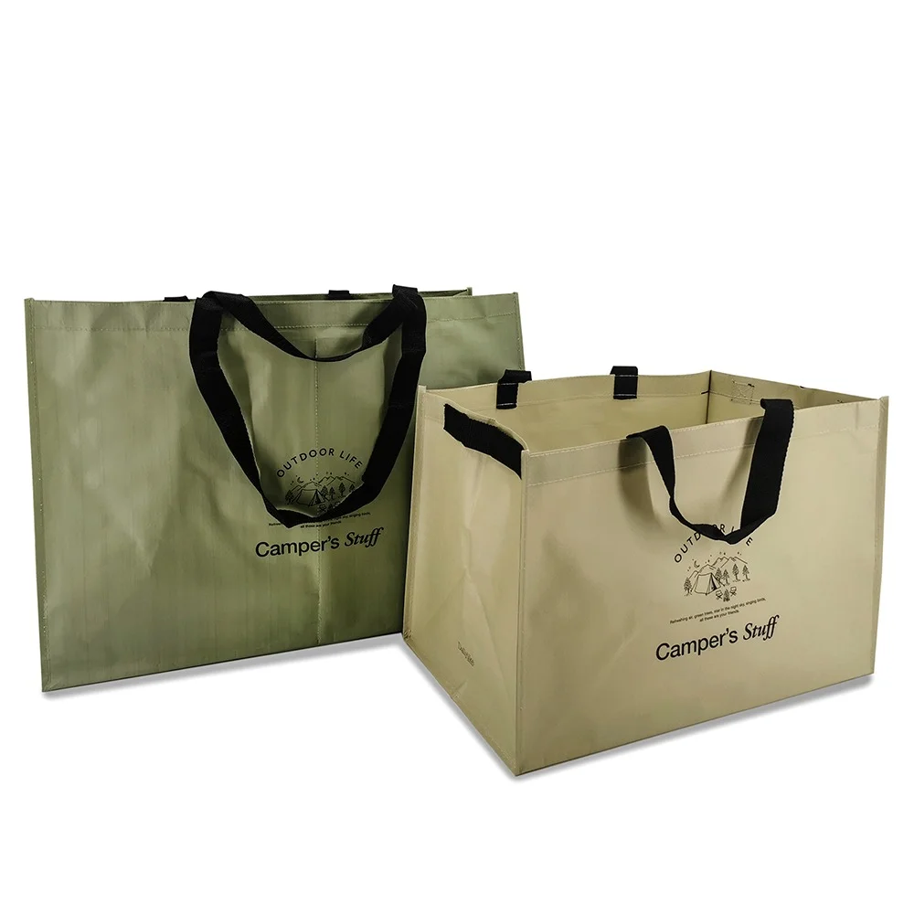 Hot Sell Waterproof Customized Printing Outdoor Foldable pp woven Picnic Bag for Camping - ST23A008